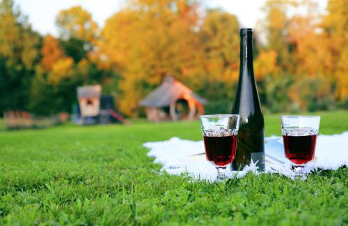 Zagroda Krasna - Photo 57