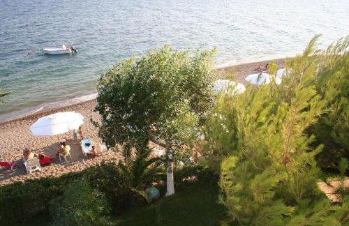 Posidonia Pension - Photo 46