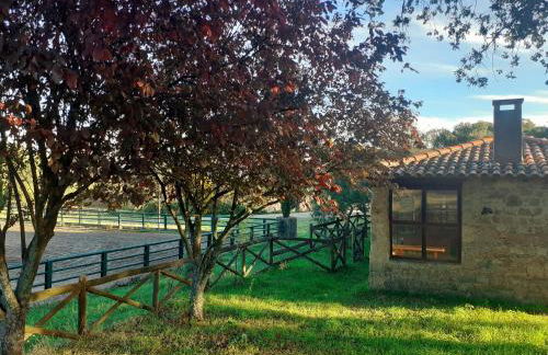 Casa da Vinha - Foto 43