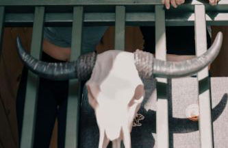 Grand Canyon A-Frame Hot-tub & Sauna - Foto 53