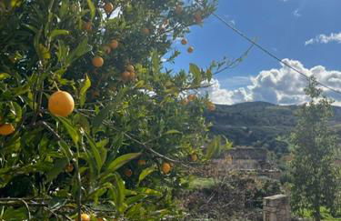 Villa Iremia - Foto 58