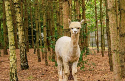 Zielona Zagroda Agnieszka Połeć - Foto 23