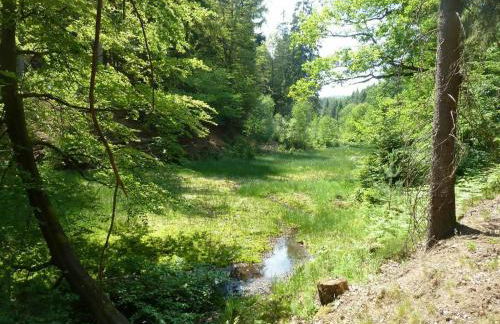 WERTS HOF FerienWohnen - Foto 66