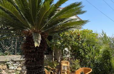 Oasibellavista - Foto 19