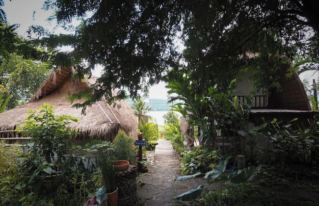 The Frog Cabana - Photo 64