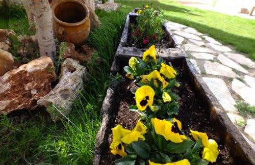 Casa Rural Figueroa - Foto 39