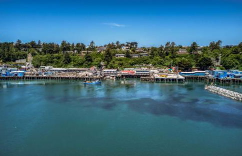 Coastal Garden - Anchor Pier Lodge - Photo 30