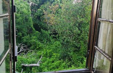 Villa Melina Agios Ioannis Pilion Greece - Foto 37