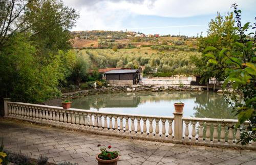 Agriturismo Petrilli - Foto 61