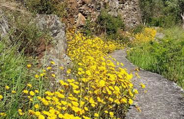 Refúgio da Estrela - Foto 48