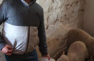 Gnaden- und Ferienhof Saale Wittgenstein in the middle of gar nix - Foto 43