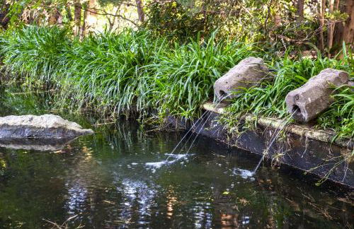 Etna Botanic Garden - Foto 31