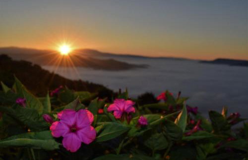 Apartman CASA MARŠIĆ - Foto 22