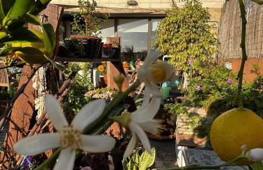 Apartamento con encanto en la playa frente al mar "Posada Rent House" - Foto 11