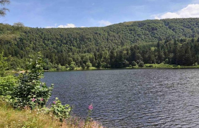 Elegant Chalet in Gerbepal in Cosy Environment - Photo 76