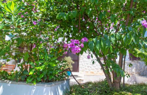 Villa Nada, green paradise by the sea and beaches - Foto 59