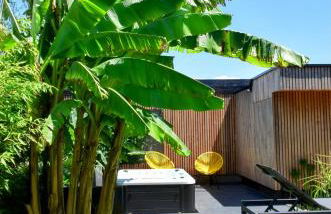 Fare Bambou - Foto 10