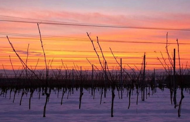 Ferienwohnung in Bischoffingen - Foto 30