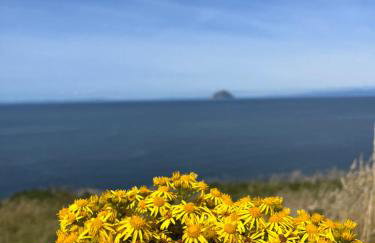 JS Holidays The Westmorland Lagganhouse - Foto 52