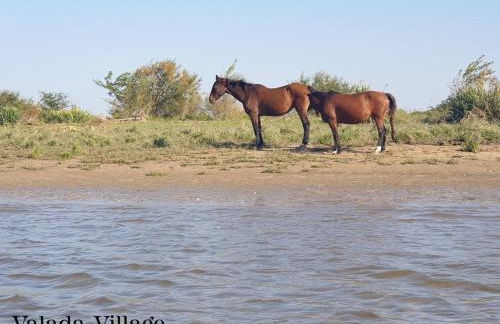 Villa Rio by Valada Village - Foto 69