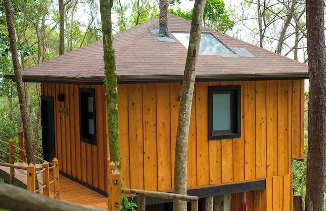 The Grand Forest Jarabacoa - Photo 53