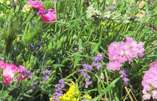 Ferienwohnungen Pustane - Foto 18