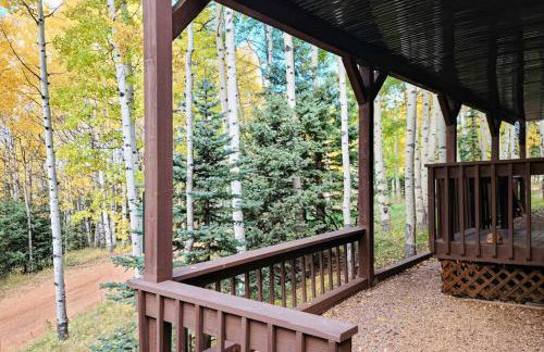 Pikes Peak Retreat - Photo 3