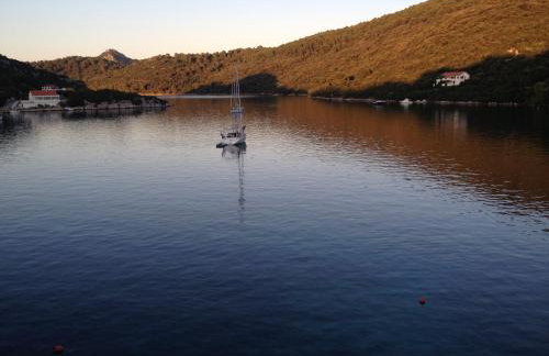 APARTMANi VICTORIA - Foto 2