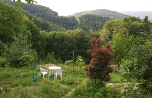 Agroturystyka Millerówka - Photo 9