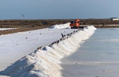 CASA DO PROFESSOR - Foto 31