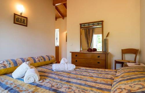 CasaT5, Férias, Piscina Privativa. Águeda, Aveiro - Foto 17