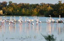 Un coin de campagne à 4km de la mer pour 4 à 6 personnes - Foto 21