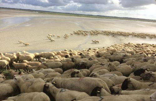 AUTHENTIQUE MAISON DE PECHEUR ENTRE-TERRE & MER Avec Un POÊLE À BOIS A Disposition - Foto 7