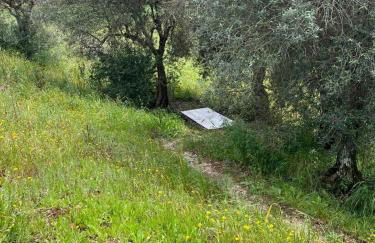 Rural old house with Vintage Furniture - Foto 9