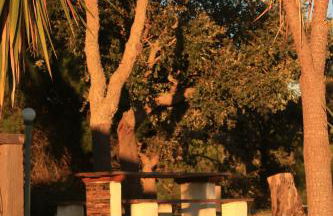 Monte Sardinha - Foto 50