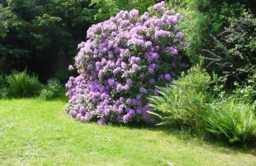 Holiday Home Ederseeblick in Bringhausen am Edersee by Interhome - Foto 20