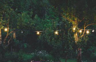 Blickinsfreie - Photo 43