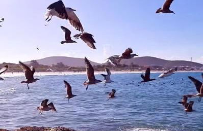 Paraíso do Peró - Photo 46