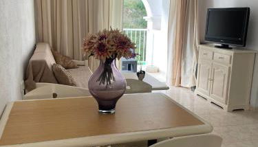 Apartamentos Torres Cardona (Playa) - Foto 3