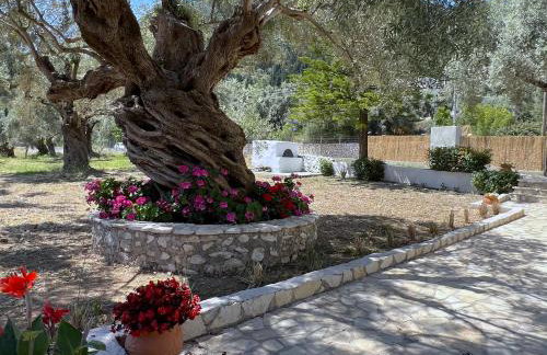 Marina's house - Foto 24