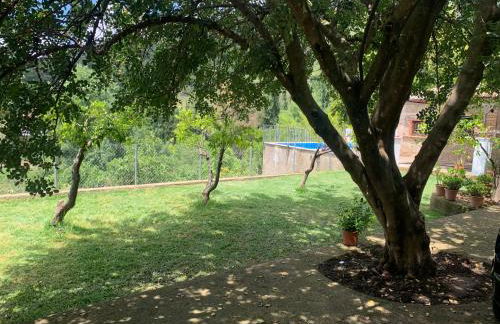 La Fuente De El Nacimiento - Foto 10