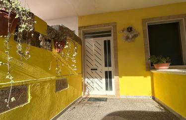 Zolla's House - Foto 35