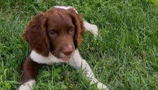 Corte di Tosina - Foto 3