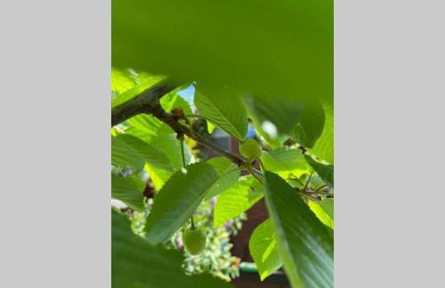 Domek w Sitnie - Foto 25