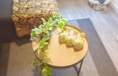 Bulle tropicale jungle - Foto 3