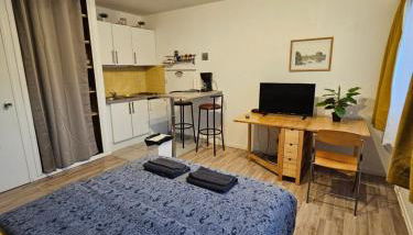 Appart 28m2 Metz Canal équipé meublé Wifi - Foto 4