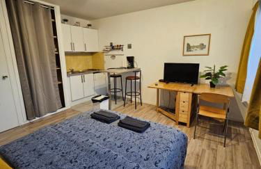 Appart 28m2 Metz Canal équipé meublé Wifi - Foto 4