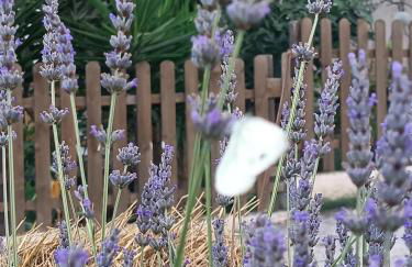 A Ca du Giaba - Foto 2