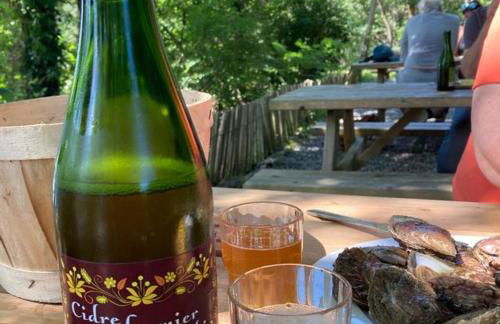 Spacieux Chalet en Bois Massif au coeur du Finistère - Foto 61
