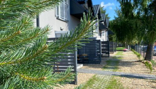 Apartamenty Pasternik 7 - Foto 3